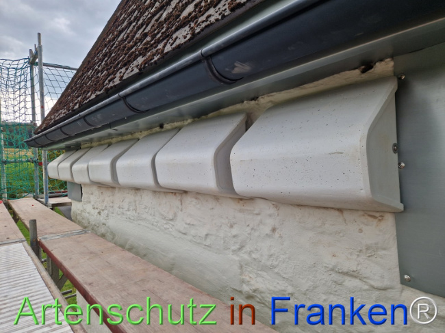 Bild zum Eintrag (1147872-160)