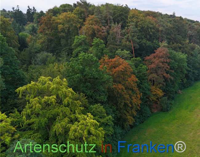 Bild zum Eintrag (1147915-160)