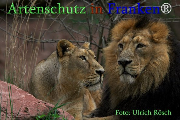 Bild zum Eintrag (1147928-160)