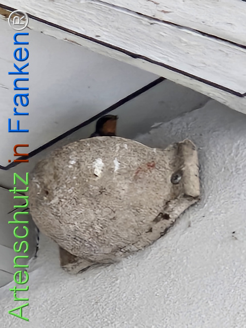 Bild zum Eintrag (1148184-160)