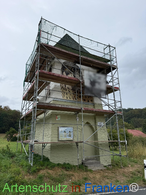 Bild zum Eintrag (1148185-160)