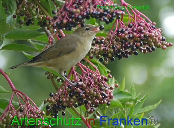 Bild zum Eintrag (1148200-160)