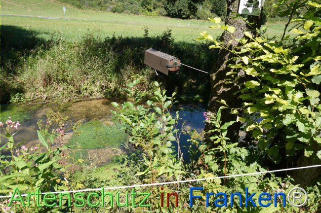 Bild zum Eintrag (1148244-160)
