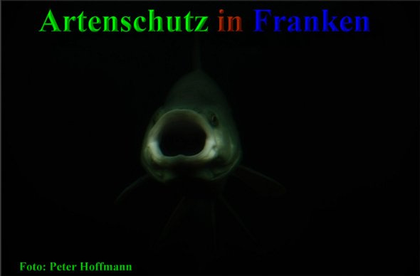 Bild zum Eintrag (1148344-160)
