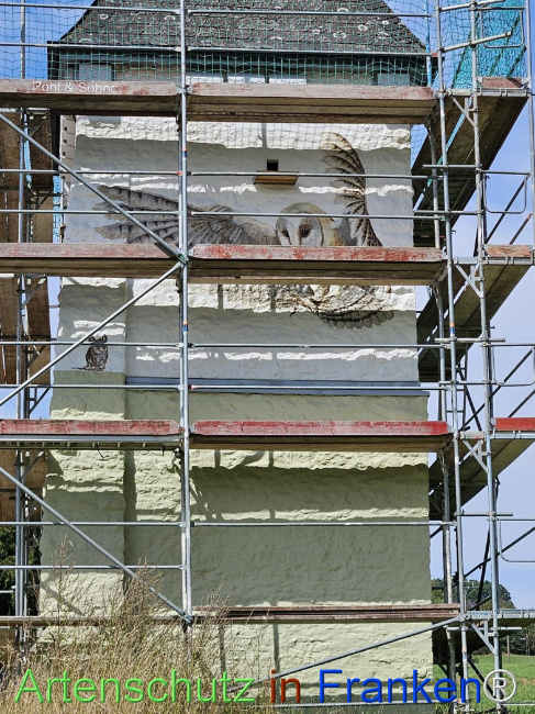 Bild zum Eintrag (1148562-160)