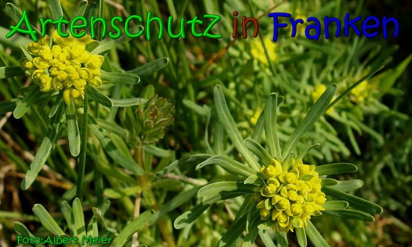 Bild zum Eintrag (1148948-160)
