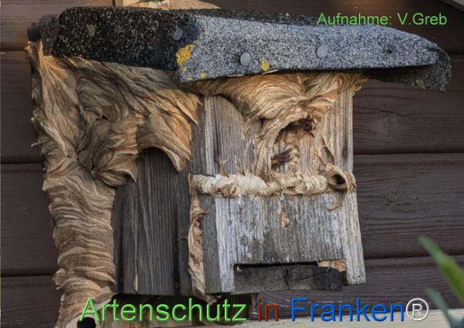 Bild zum Eintrag (1149308-160)