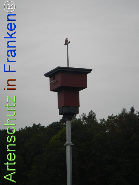 Bild zum Eintrag (1149407-160)