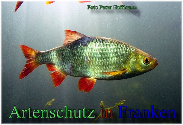 Bild zum Eintrag (1149789-160)