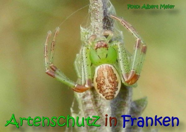 Bild zum Eintrag (1150675-160)