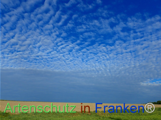 Bild zum Eintrag (1150813-160)