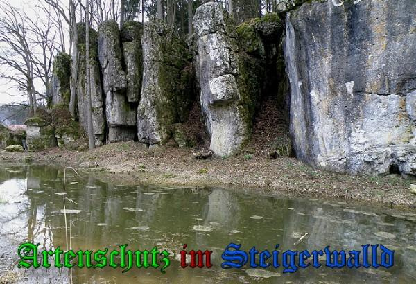 Bild zum Eintrag (1150963-160)