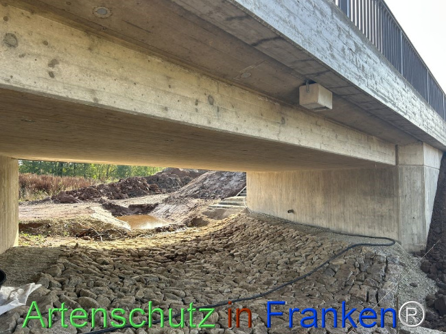 Bild zum Eintrag (1151077-160)