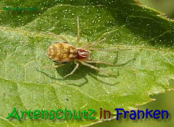 Bild zum Eintrag (1151728-160)