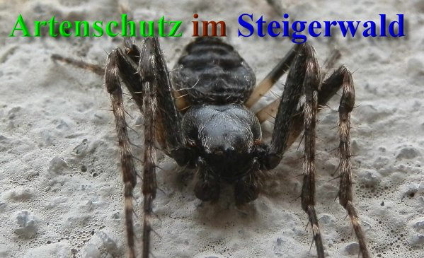 Bild zum Eintrag (1151793-160)
