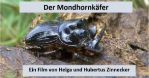 Bild zum Eintrag (1060402-159)
