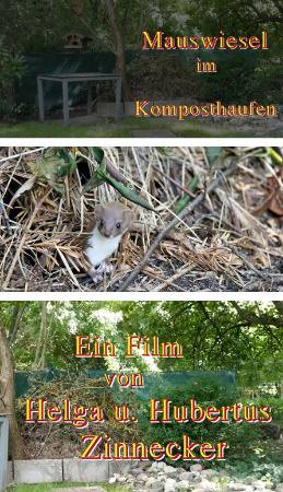 Bild zum Eintrag (1111595-159)