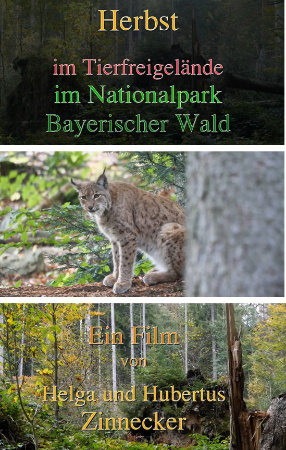 Bild zum Eintrag (1114701-159)