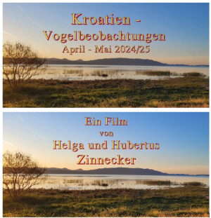 Bild zum Eintrag (1126943-159)