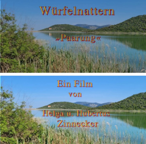 Bild zum Eintrag (1129372-159)