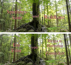 Bild zum Eintrag (1135829-159)