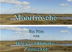 Bild zum Eintrag (1139413-159)