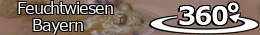 Bild zum Eintrag (1148299-159)