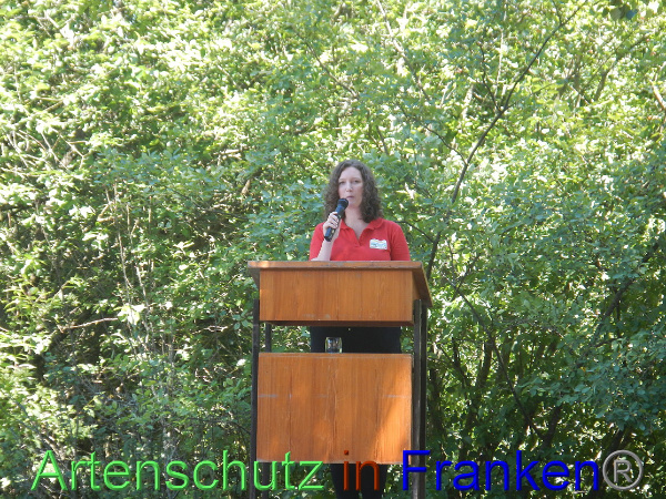 Bild zum Eintrag (100662-160)