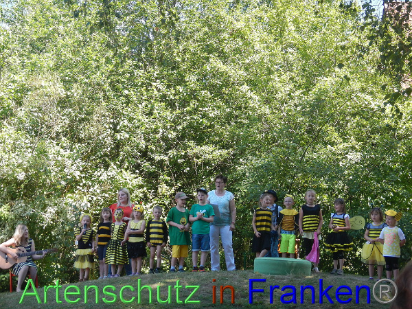 Bild zum Eintrag (100664-160)