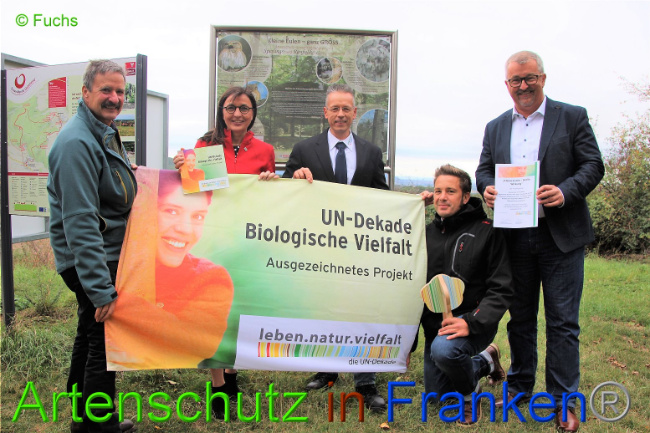 Bild zum Eintrag (1012471-160)