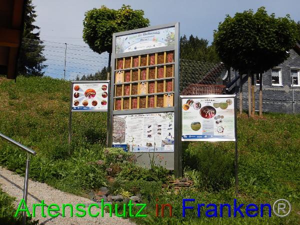 Bild zum Eintrag (101285-160)