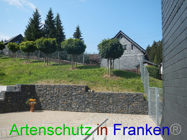 Bild zum Eintrag (101325-160)