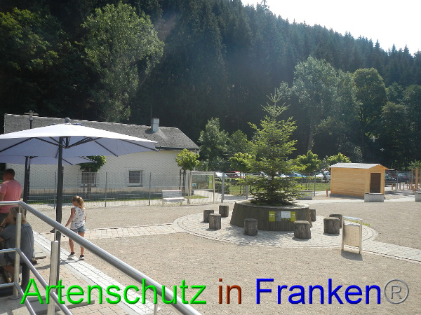 Bild zum Eintrag (101331-160)