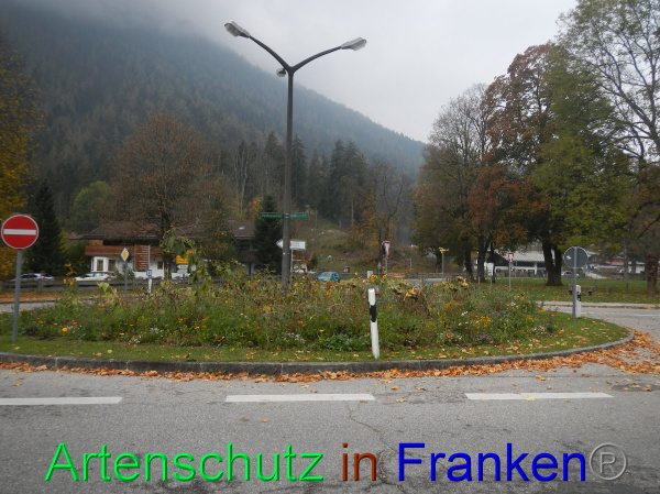 Bild zum Eintrag (102174-160)