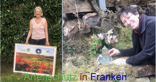© Artenschutz in Franken® Bild zum Eintrag (1063883-160)
