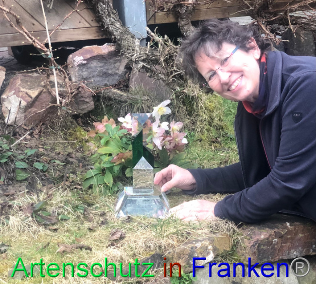 © Artenschutz in Franken® Bild zum Eintrag (1063889-160)