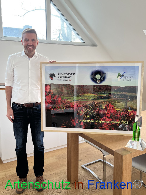 Bild zum Eintrag (1132828-160)