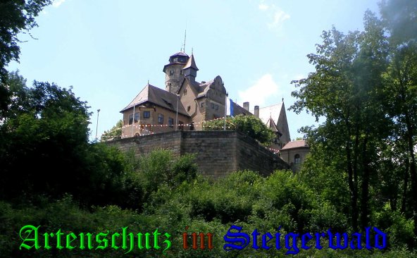 Copyright AiS- Albert Meier Bild zum Eintrag (38813-160)