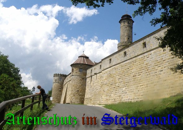 Copyright AiS- Albert Meier Bild zum Eintrag (38816-160)