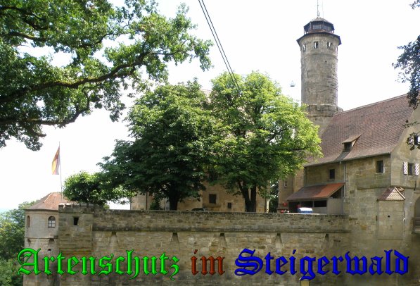 Copyright AiS- Albert Meier Bild zum Eintrag (38829-160)