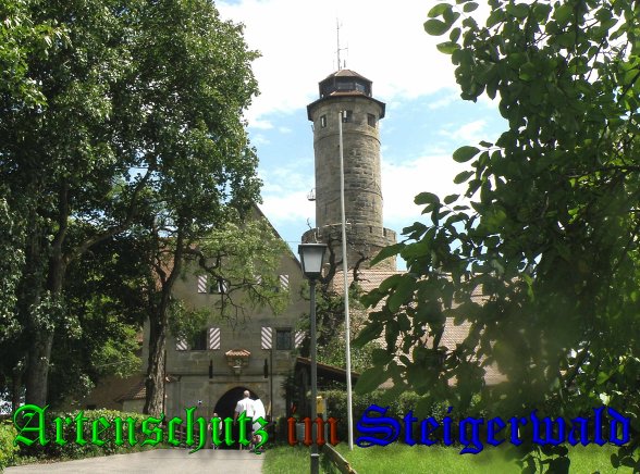 Copyright AiS- Albert Meier Bild zum Eintrag (38831-160)