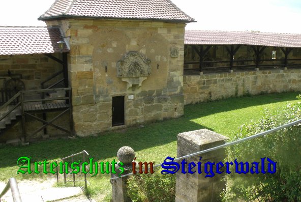Copyright AiS- Albert Meier Bild zum Eintrag (38837-160)