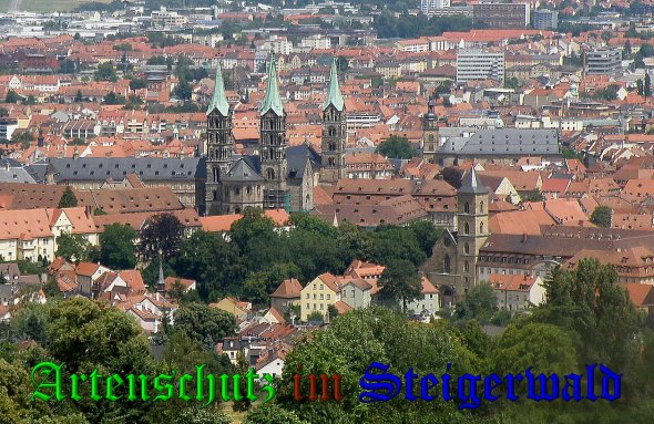 Copyright AiS- Albert Meier Bild zum Eintrag (38844-160)