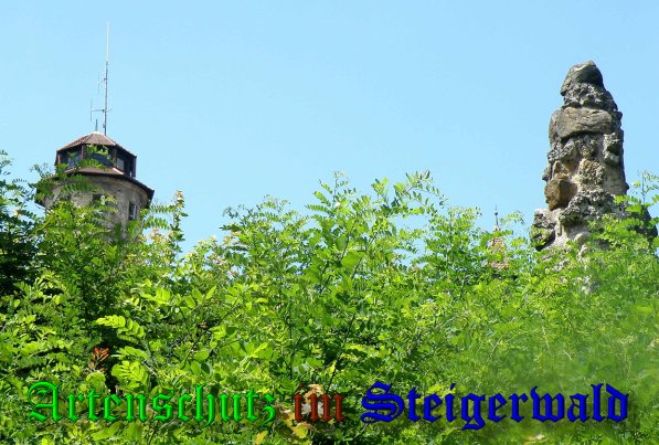 Copyright AiS- Albert Meier Bild zum Eintrag (38849-160)