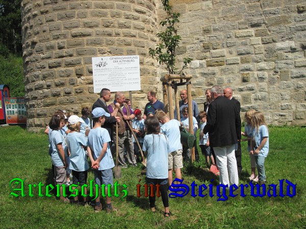 Copyright AiS- Albert Meier Bild zum Eintrag (38872-160)