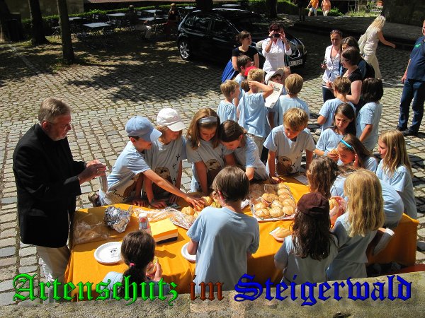 Copyright AiS- Albert Meier Bild zum Eintrag (38875-160)