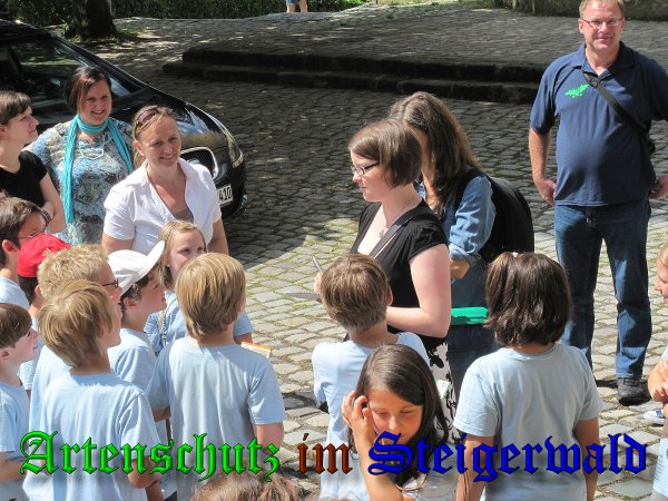 Copyright AiS- Albert Meier Bild zum Eintrag (38877-160)