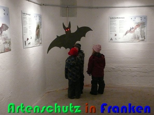 Copyright AiS Zuerl Bild zum Eintrag (55162-160)