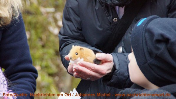 Copyright AiS Copyright AiS - Nachrichten am Ort Johannes Michel Bild zum Eintrag (55184-160)