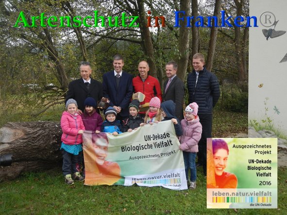 Bild zum Eintrag (88583-160)